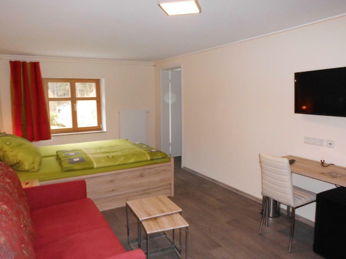 Die Oberlochmuehle Pension Deutschneudorf Extérieur photo