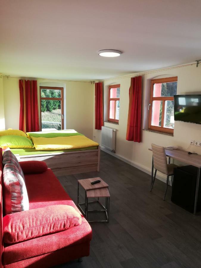 Die Oberlochmuehle Pension Deutschneudorf Extérieur photo