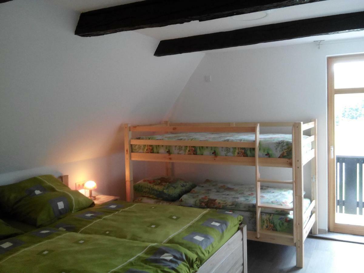 Die Oberlochmuehle Pension Deutschneudorf Extérieur photo