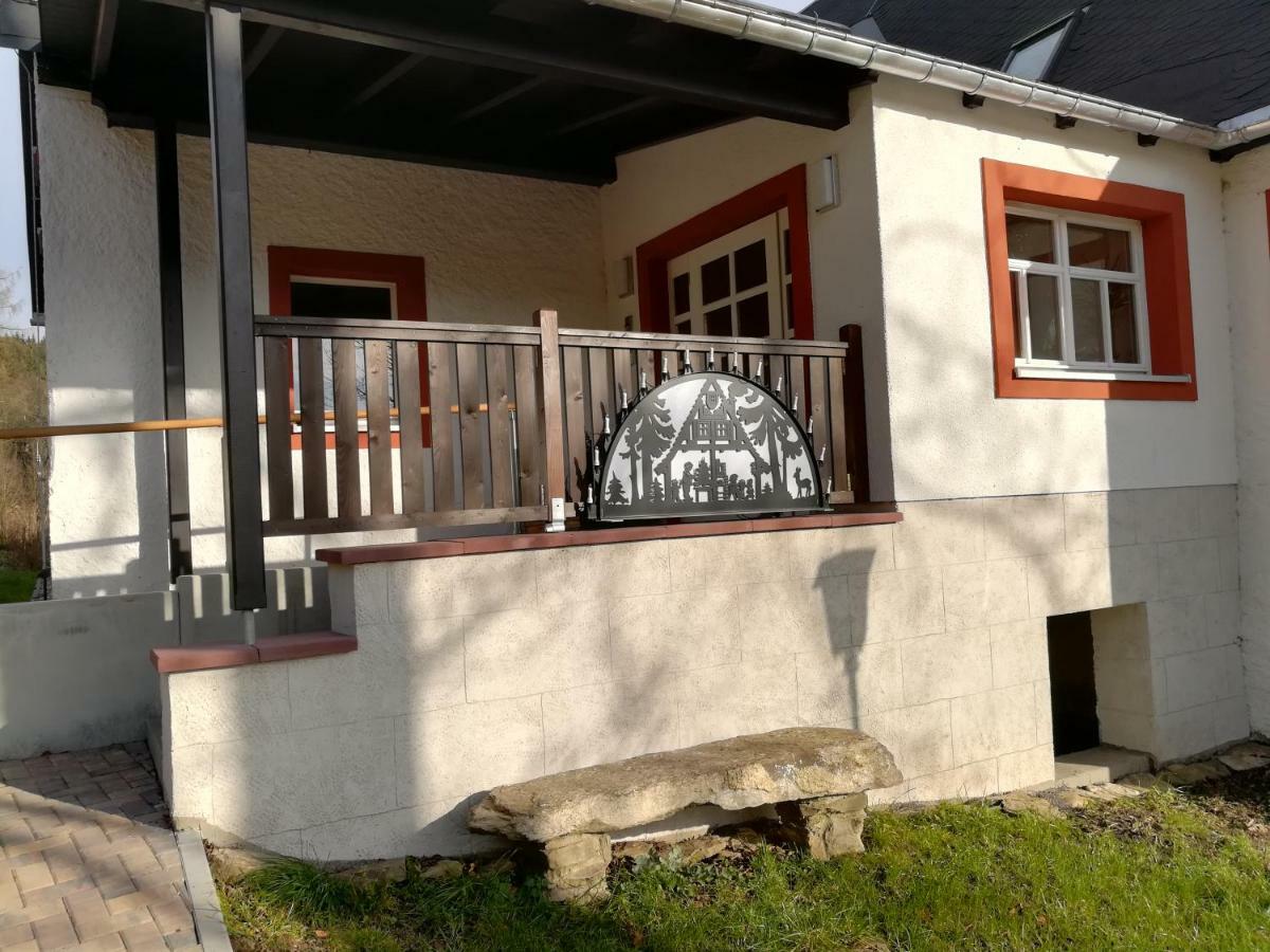 Die Oberlochmuehle Pension Deutschneudorf Extérieur photo