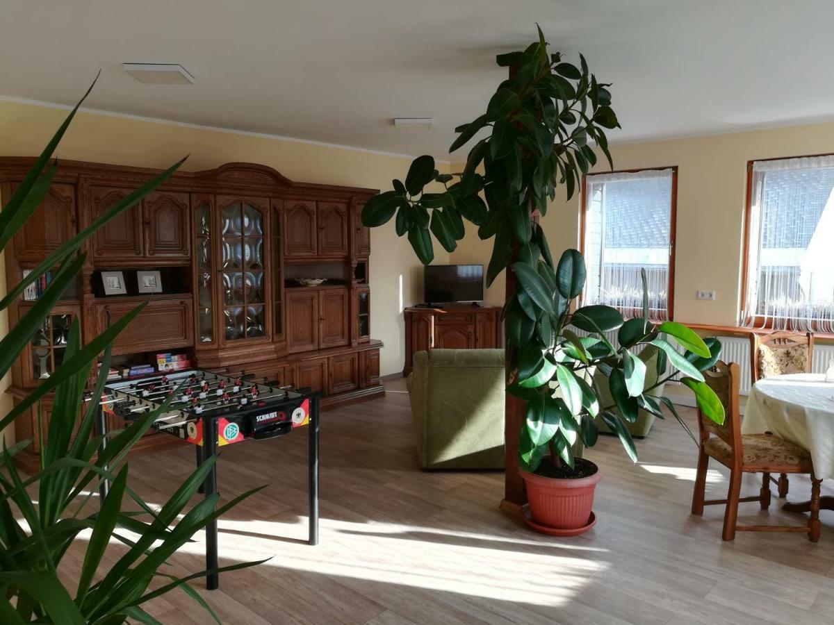 Die Oberlochmuehle Pension Deutschneudorf Extérieur photo